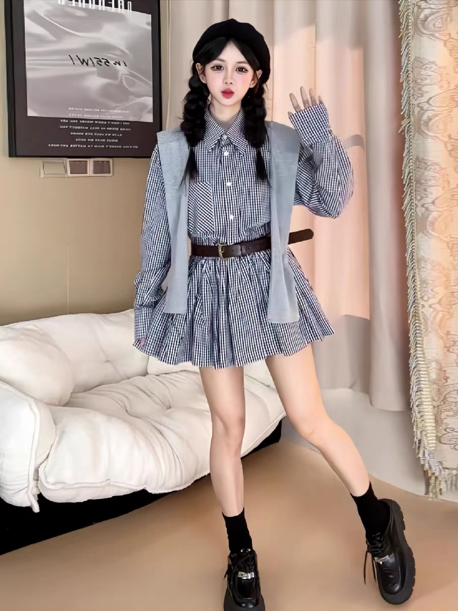 Korean Style A Line Shirt Dress - Frühherbstliches Hemdkleid im koreanischen Stil, Vintage-Karo-Rock,